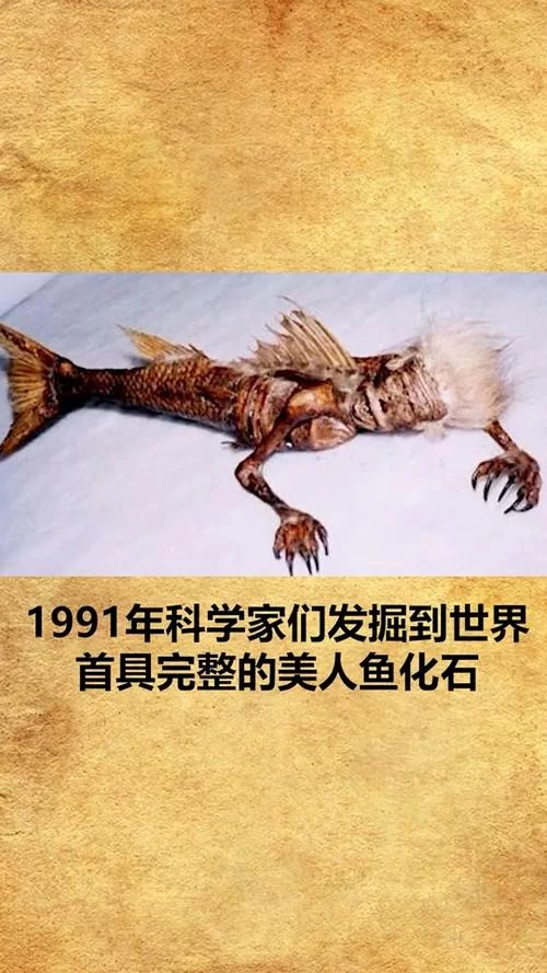 美人鱼之迷游戏攻略分享轻松解锁隐藏关卡