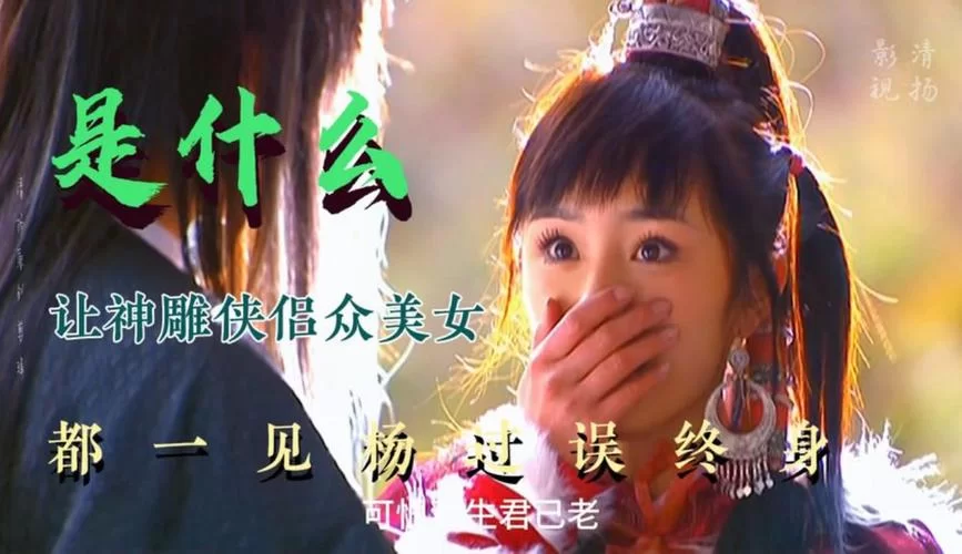 美女请别影响我学习杨过游戏通关秘籍