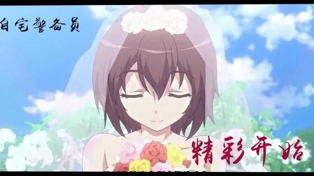 自宅警备员吧游戏官网下载地址及玩法介绍