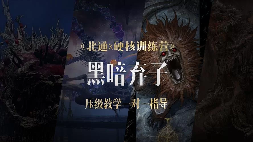 艾丝缇拉的遭难游戏下载问题解决 常见错误修复方法