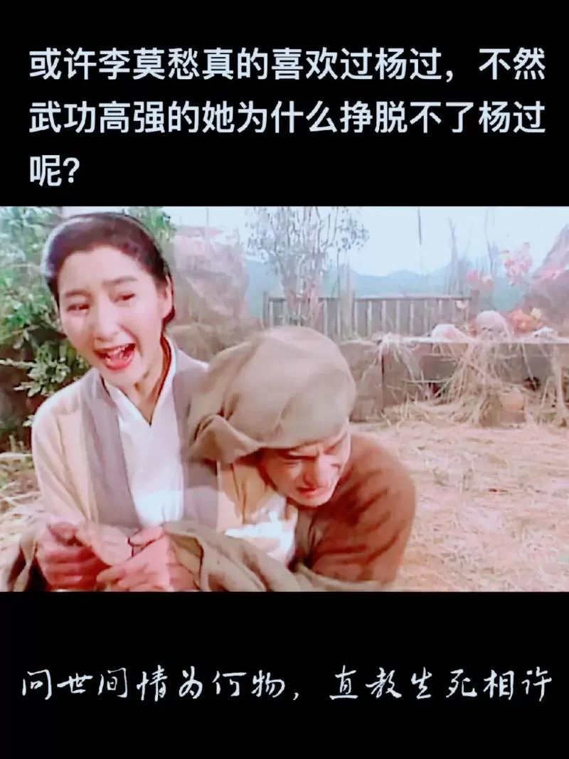 花之魔女杨过游戏剧情背景故事深度解析