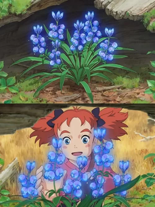 花之魔女版本大全 哪个版本最强看完就知道