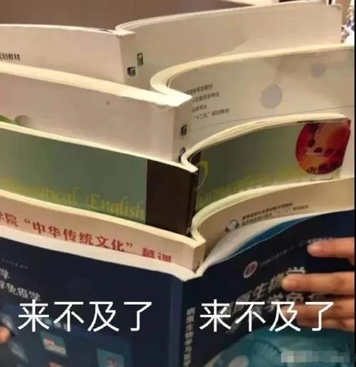 草莓粥粥绅士游戏常见问题解决方法大全
