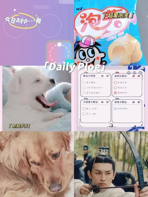 草莓粥粥绅士游戏常见问题解决方法大全
