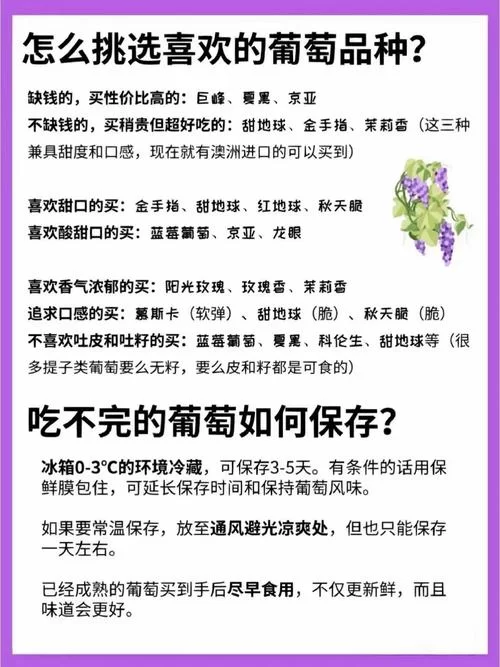 葡萄成熟时最新采摘攻略与美味吃法推荐