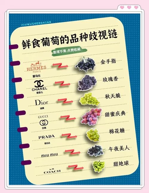 葡萄成熟时最新采摘攻略与美味吃法推荐