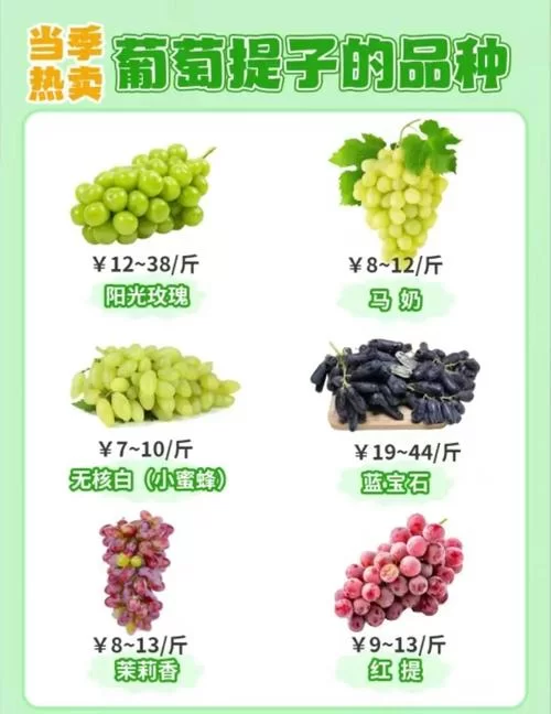 葡萄成熟时最新采摘攻略与美味吃法推荐