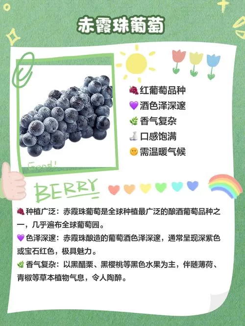 葡萄成熟时最新采摘攻略与美味吃法推荐