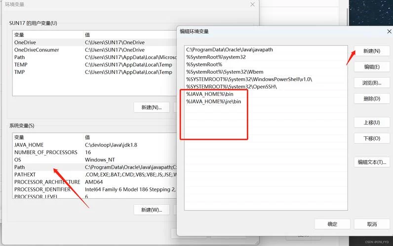 血无赖如何下载 详细步骤教你快速安装