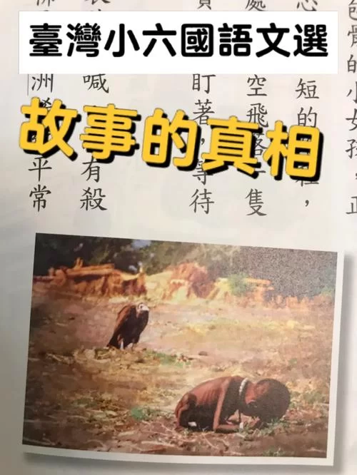 被好色的搭档抢走所有心仪的孩子官网故事真相揭秘