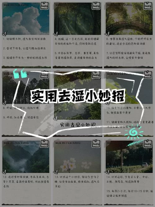 被弄湿的夏天最新版本下载安装教程分享