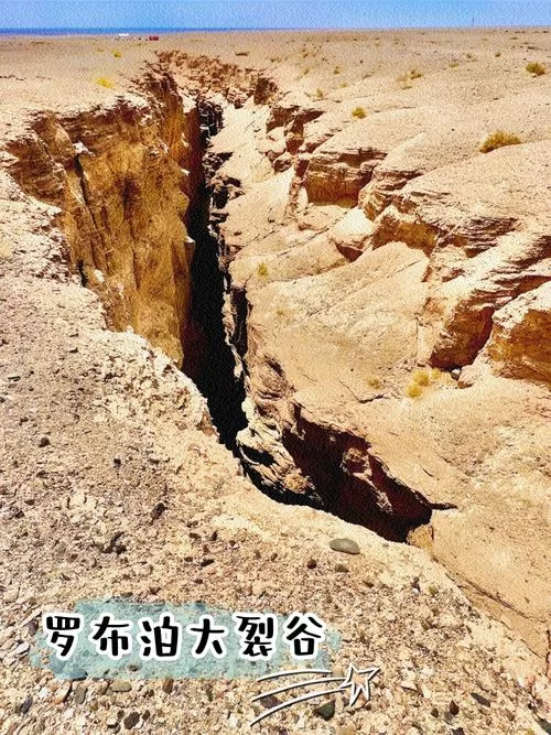 裂谷中的房子游戏攻略快速通关秘籍与心得