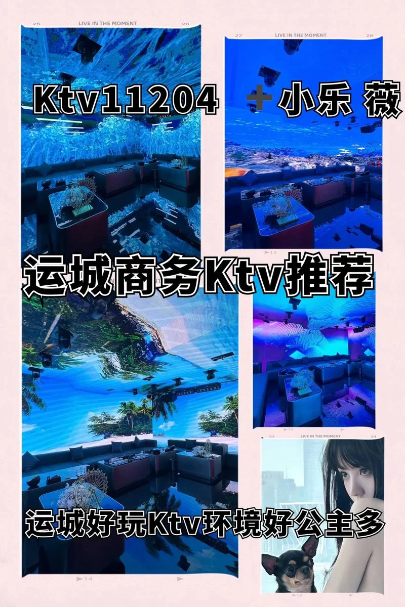 访问KTV游戏官网获取免费游戏下载攻略