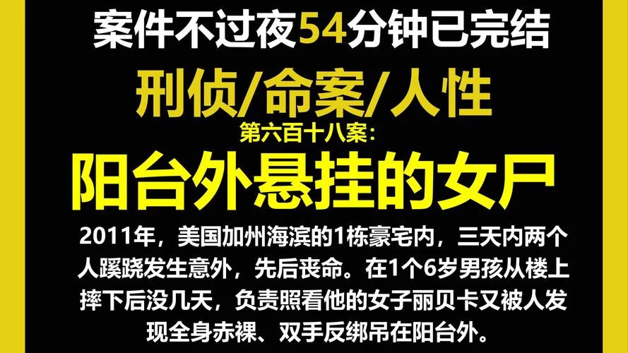 诺莉卡的案件官方网站案件详情一网打尽