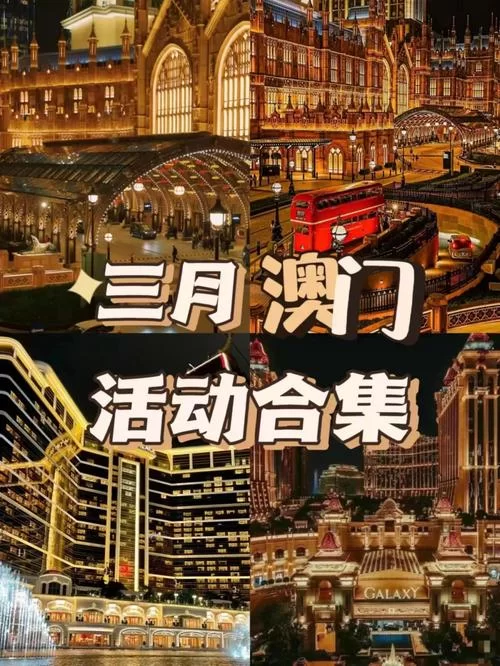 谜月旅途更新地址分享最新可用链接速看