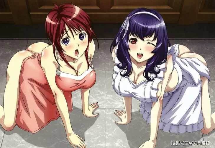 这样一来也是性处理科的一员了绅士游戏攻略分享 这样一来也是性处理科的一员了绅士游戏攻略分享