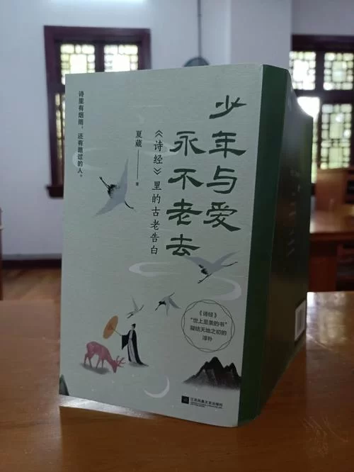 迷人的故事新婚之夜版本大全 甜蜜爱情故事集锦