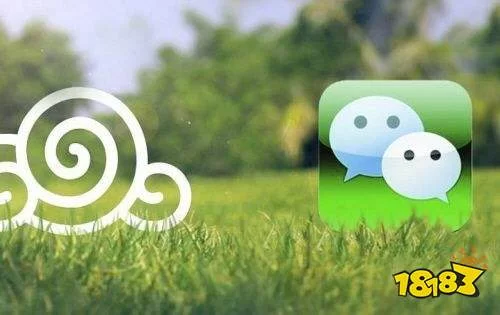 那位新老师官方正式版下载最新版手机电脑通用版