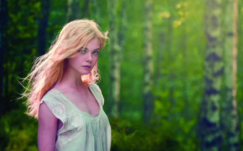 阁楼里的睡美人最新下载链接在哪里