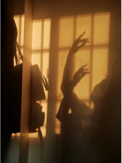 阳光下的真实在哪下载 最新资源获取方法分享