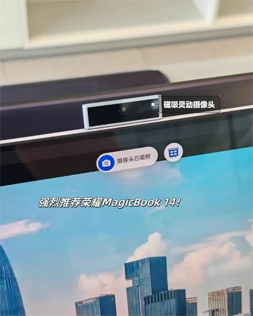 阳光下的真实在哪下载 最新资源获取方法分享