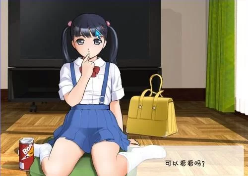 阳光下的真实最新版本是多少和旧版有什么区别