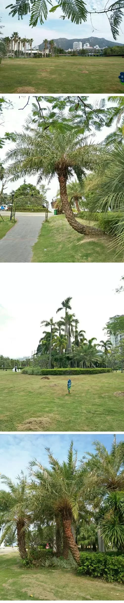 阳光湾恋人1-3合集官网正版资源哪里可以看