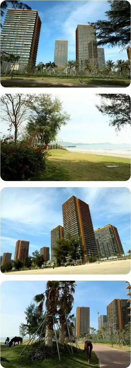 阳光湾恋人1-3合集官网正版资源哪里可以看