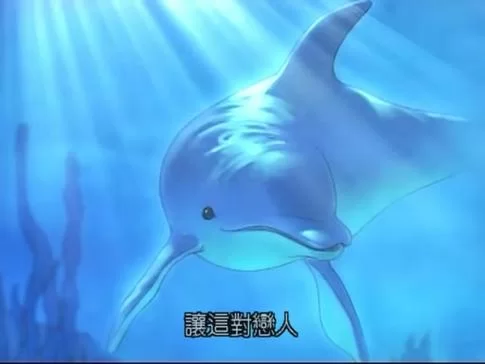 阳光湾恋人1-3合集最新版本更新内容介绍