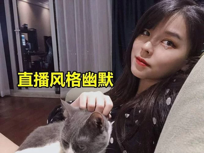 隔壁的女主播安卓汉化版体验 真实评测带你避坑