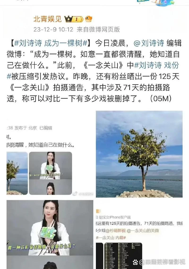 魔改电视剧汉化版最新更新内容有哪些精彩看点
