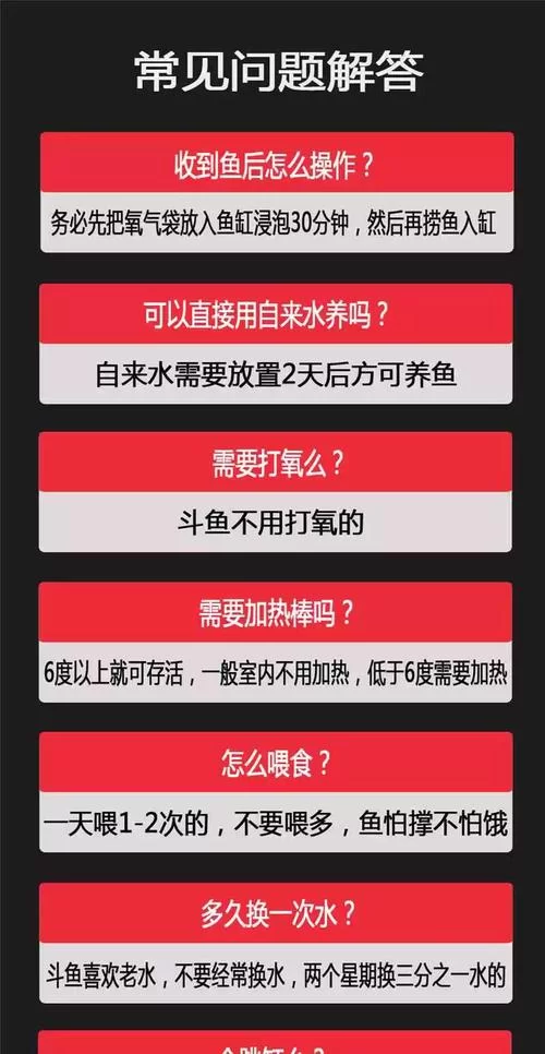 鱼筱官方网站常见问题解答一站式解决你的疑惑