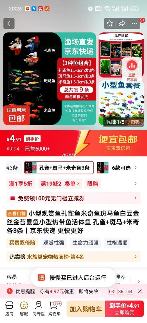 鱼筱更新地址最新发布一键直达不迷路