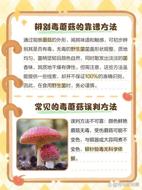 《人渣》如何区分毒蘑菇 毒蘑菇与普通蘑菇区分技巧介绍