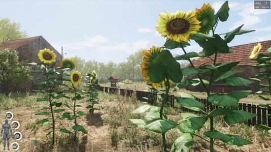 《人渣》野外野果采集种类一览