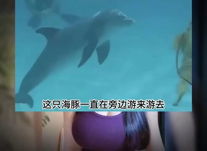 《人类一败涂地》海豚跳攻略 操作技巧分享