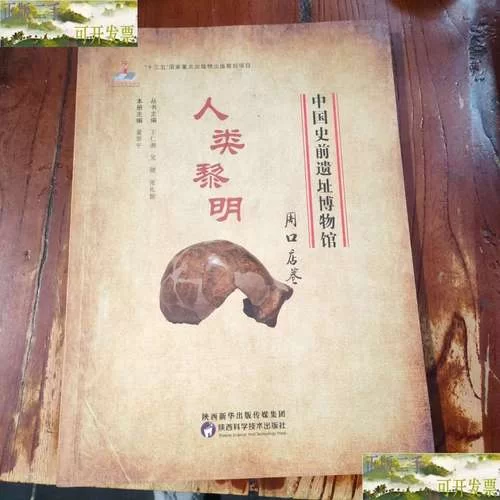 《人类黎明》数值向新手心得分享