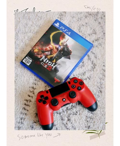 《仁王2》PC版鼠标卡顿掉帧问题解决方法