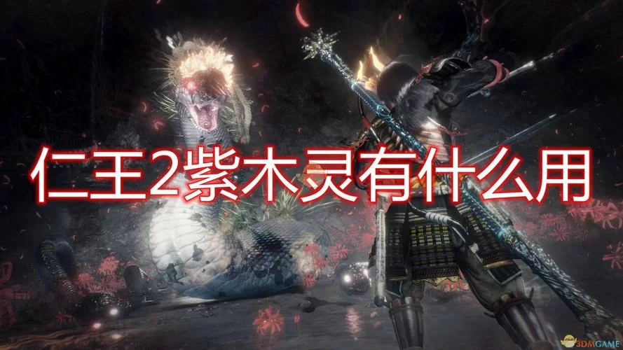 《仁王2》紫木灵想要什么问题解答