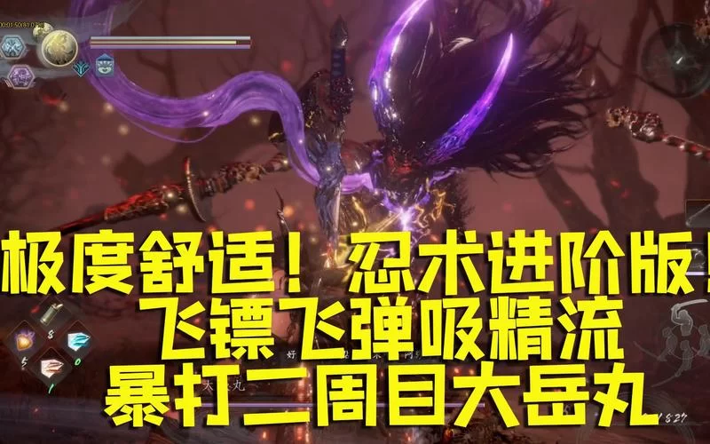 《仁王2》飞镖忍术流技能加点参考