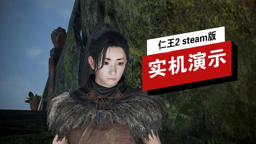 《仁王》steam版全成就 仁王PC全成就达成心得