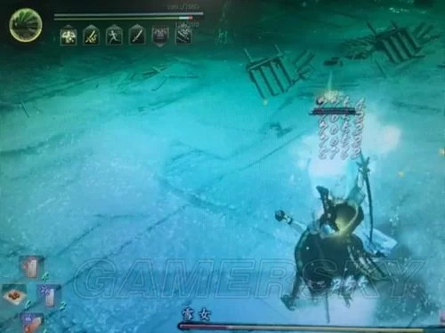 《仁王》孔雀与百舌鸟实用性图文详解