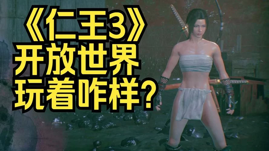 《仁王》最终测试版全道具图鉴作用及术语解释